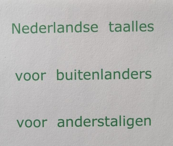 Nederlandse  taalles, Diensten en Vakmensen, Bijles, Privé-les en Taalles, Bijles, Taalles, Privéles