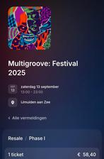Multigroove festival ticket, Eén persoon