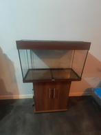 Juwel RIO 125 aquarium; kan bezorgen evt., Dieren en Toebehoren, Vissen | Aquaria en Toebehoren, Ophalen, Gebruikt, Leeg aquarium