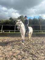 Leuke kinderpony, Dieren en Toebehoren, Merrie, 11 jaar of ouder