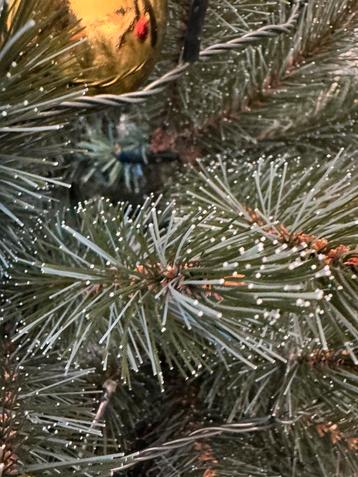 kerstboom beschikbaar voor biedingen