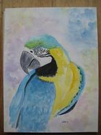 Aquarel Macaw / Blauwvleugel Ara, Ophalen, Minder dan 50 cm, Oorspronkelijke maker, Nieuw