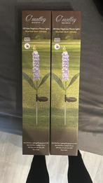 Lampjes voor in je plant, Volle zon, Minder dan 100 cm, Zomer, Overige soorten