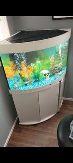 aquarium juwel + lucht pomp, filter systeem, verwarming, Dieren en Toebehoren, Vissen | Aquaria en Toebehoren, Ophalen of Verzenden