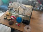 Neo by Zolux metalen kooi met glazen bak met div. toebehoren, Kooi, Gebruikt, Hamster, Minder dan 75 cm