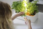 Nieuw | Fiskars Kruidentuin met LED verlichting | Op is Op., Kunststof, Minder dan 30 cm, Binnen, Minder dan 60 cm