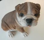 Bulldog 13 cm Polystone beeld Farmwood Animals, Ophalen of Verzenden, Zo goed als nieuw