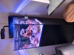 Red Sea aquarium max nano glass 75l incl meubel, Dieren en Toebehoren, Vissen | Aquariumvissen, Vis