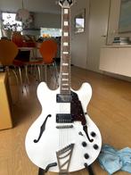 D'Angelico Premier (New York), Muziek en Instrumenten, Snaarinstrumenten | Gitaren | Elektrisch, Ophalen, Zo goed als nieuw, Hollow body