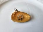 Schelp met davidster, Ophalen of Verzenden