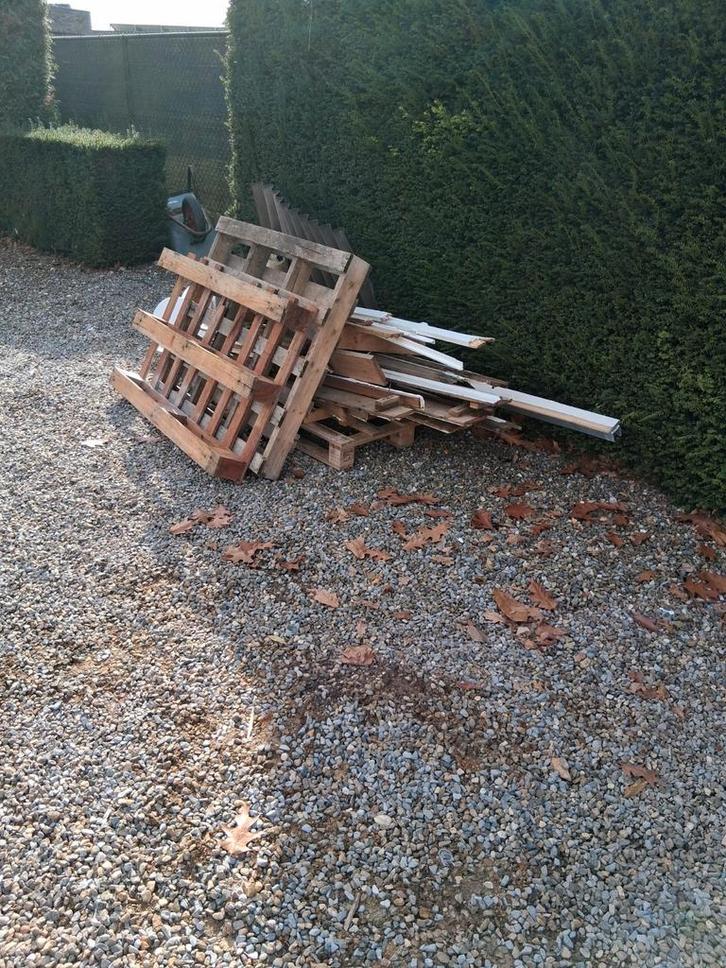 Gratis Brandhout - Pallets en Houtresten, Doe-het-zelf en Verbouw, Hout en Planken, Gebruikt, Pallet, Overige houtsoorten, 25 tot 50 mm