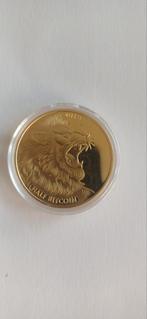 Gouden Half Bitcoin Munt, Koningin Beatrix, Losse munt, Goud, Overige waardes