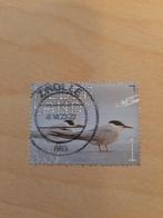 2023 Beleef de natuur visdief, Postzegels en Munten, Verzenden, Gestempeld