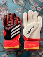Keepershandschoenen maat 6,5. Adidas predator GL. Nieuw!, Ophalen of Verzenden, Nieuw, Handschoenen