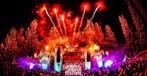 2 tickets Under The Bridge Festival 5 Juli te Spijkernisse, Eén persoon
