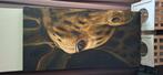 Schilderij giraffe, Huis en Inrichting, Woonaccessoires | Schilderijen, Tekeningen en Foto's, 50 tot 75 cm, Ophalen of Verzenden