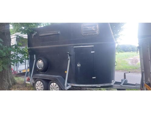 Sluis, Dieren en Toebehoren, Paarden en Pony's | Trailers en Aanhangwagens, Gebruikt, 2-paards trailer