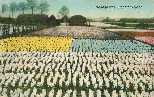 (388-473-025) Hollandsche Bloemenvelden, Verzamelen, Ansichtkaarten | Nederland, Verzenden