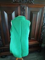 Lange warme bodywarmer, Kleding | Dames, Bodywarmers, Ophalen of Verzenden, Zo goed als nieuw, Maat 42/44 (L), Groen