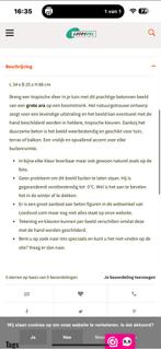 Betonnen Ara Beeld - Prachtige Tuindecoratie, Tuin en Terras, Tuinbeelden, Ophalen of Verzenden, Nieuw, Beton, Dierenbeeld