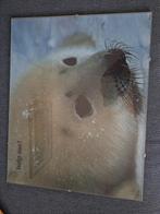 Poster van een zeehond, Ophalen, Minder dan 50 cm, Gebruikt, Foto of Poster