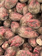 Voederbieten, Ophalen, Vee