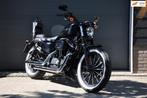 Harley Davidson XL 883N Sportster Iron, Motoren, Motoren | Harley-Davidson, Chopper, Bedrijf, 883 cc, Meer dan 35 kW