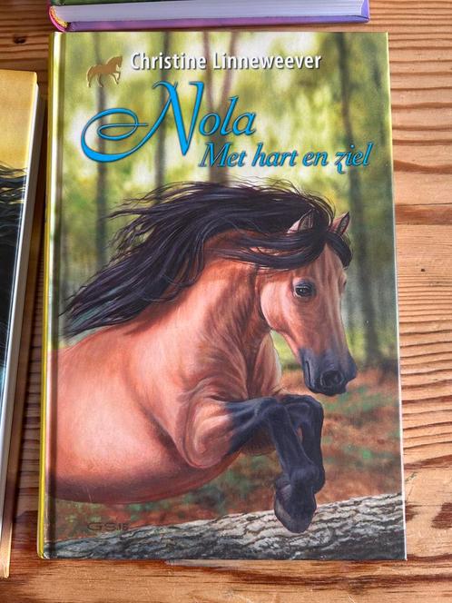 Christine Linneweever - Nola met hart en ziel, Boeken, Kinderboeken | Jeugd | 10 tot 12 jaar, Zo goed als nieuw, Ophalen of Verzenden