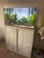 Aquatlantis, Dieren en Toebehoren, Vissen | Aquaria en Toebehoren, Ophalen, Gevuld zoetwateraquarium