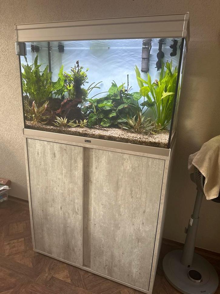 Aquatlantis, Dieren en Toebehoren, Vissen | Aquaria en Toebehoren, Gevuld zoetwateraquarium, Ophalen