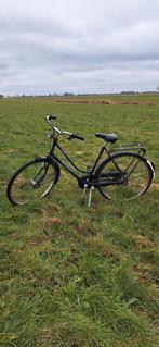 Gazelle primera, Ophalen of Verzenden, Gebruikt, Gazelle