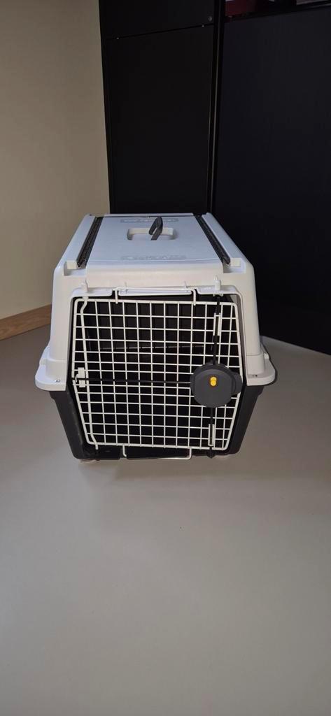 Hondentransportbox Ferplast, Dieren en Toebehoren, Transportboxen, Zo goed als nieuw, Ophalen