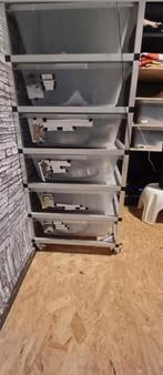 Slangen rack, Dieren en Toebehoren, Reptielen en Amfibieën | Toebehoren, Ophalen of Verzenden, Zo goed als nieuw, Terrarium of Paludarium
