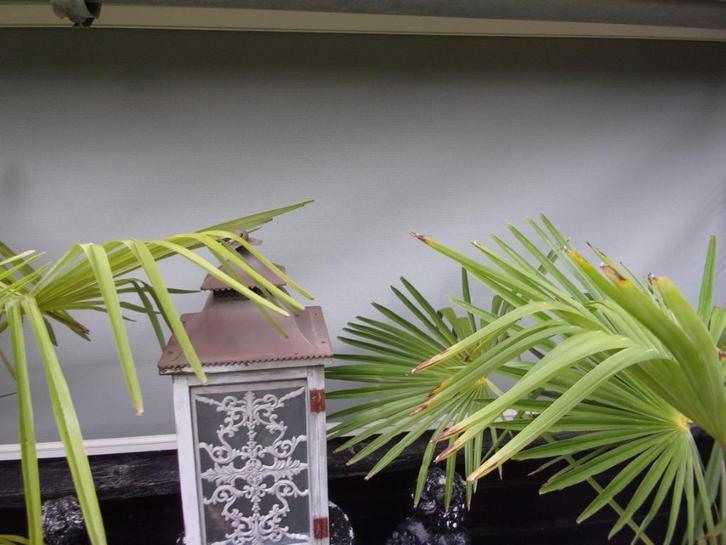 screens 3 stuks handbediend, Tuin en Terras, Zonneschermen, Gebruikt, Screen, Minder dan 150 cm, Ophalen