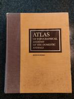 Atlas of Topographical Anatomy of the Domestic Animals, Gelezen, Ophalen of Verzenden, WO, Peter Popesko