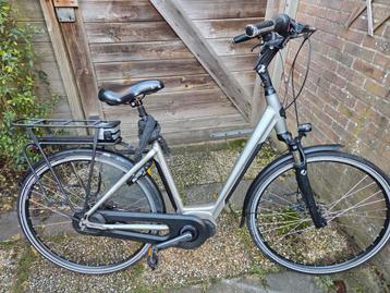 Stella Livorno beschikbaar voor biedingen