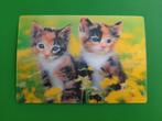 B/ Katten. 3D kaart, Verzenden, Ongelopen, Hond of Kat