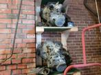 Opel C20XE C20ne versnellingsbakken, Auto-onderdelen, Transmissie en Toebehoren, Ophalen of Verzenden, Opel
