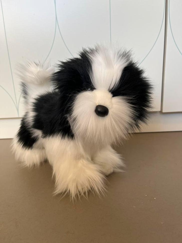 Super zeldzame retired Douglas dog ESSA, Kinderen en Baby's, Speelgoed | Knuffels en Pluche, Zo goed als nieuw, Hond, Ophalen of Verzenden