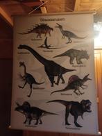 Dinosaurus poster, Verzamelen, Posters, Ophalen of Verzenden