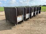 Kalverhokken Eenlingboxen, Dieren en Toebehoren, Stalling en Weidegang