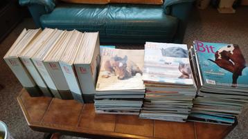 BIT paarden maandblad beschikbaar voor biedingen