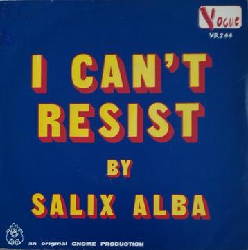 Salix Alba - I can't resist beschikbaar voor biedingen