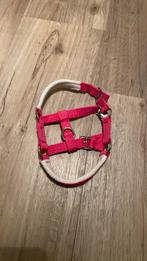 Hobby horse halster, Dieren en Toebehoren, Paarden en Pony's | Hoofdstellen en Tuigage, Ophalen of Verzenden, Zo goed als nieuw
