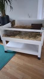 Cavia verblijf caviahok, Dieren en Toebehoren, Ophalen, Gebruikt, 60 tot 90 cm, Hok