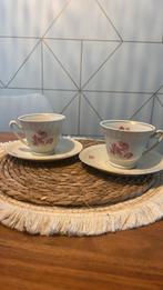 2x kop en schotel mosa 5 poorten, Ophalen of Verzenden