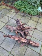 Kienhout, Dieren en Toebehoren, Ophalen of Verzenden, Plant(en), Steen of Hout