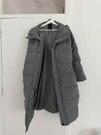 Airforce parka, Airforce, Blauw, Maat 42/44 (L), Ophalen of Verzenden