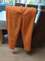 Mooie oranje broek (amisu) Zo goed als nieuw, Oranje, Lang, Ophalen of Verzenden, Zo goed als nieuw