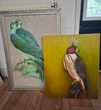 Schilderij valk, valkerij, roofvogel, Antiek en Kunst, Ophalen